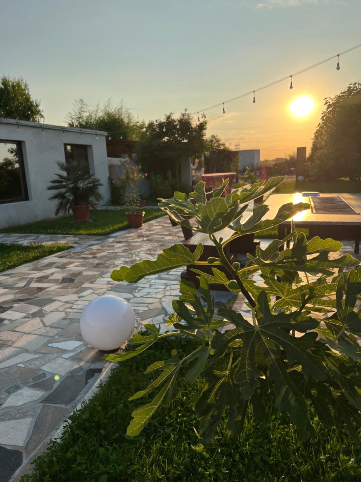 La Casa Blanca Appartement Vladimirescu Buitenkant foto